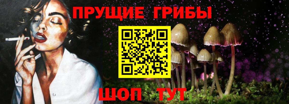 Псилоцибиновые грибы Psilocybe  Вход с VPN  Гусиноозёрск 